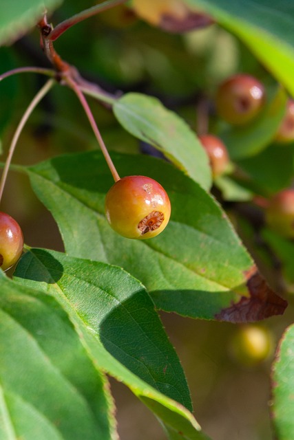 而一场湖人 而一场湖人