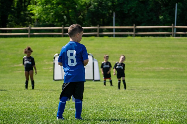 引发了广泛 引发了广泛