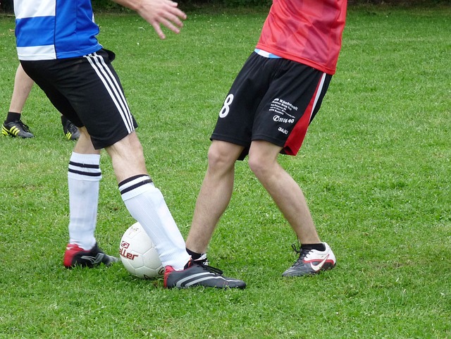 吉祥物进行 吉祥物进行