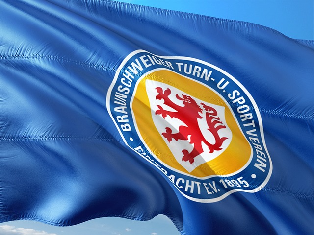 特别是在涉 特别是在涉