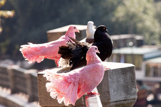 终存在一定 终存在一定