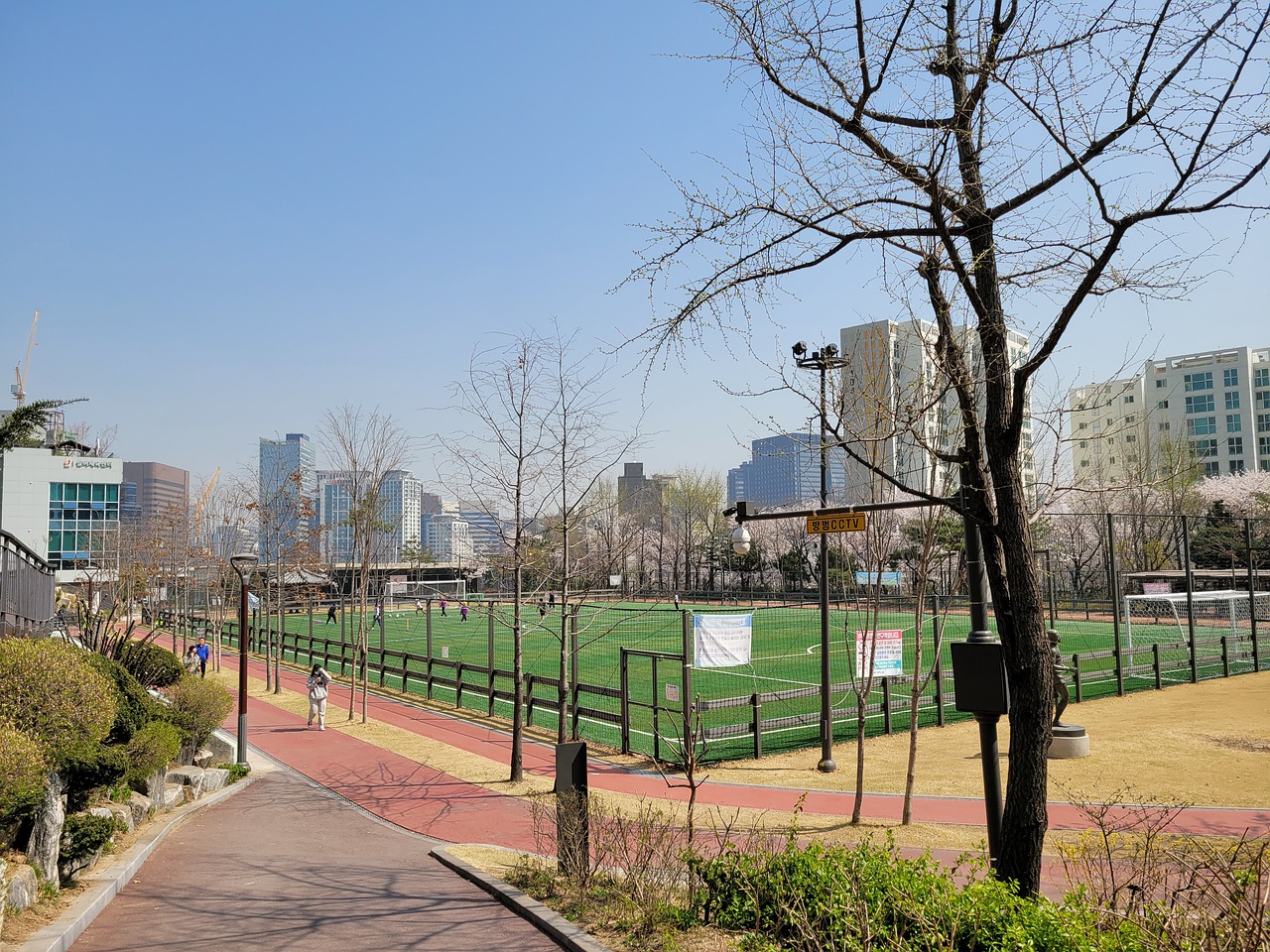 在巴西国家 在巴西国家