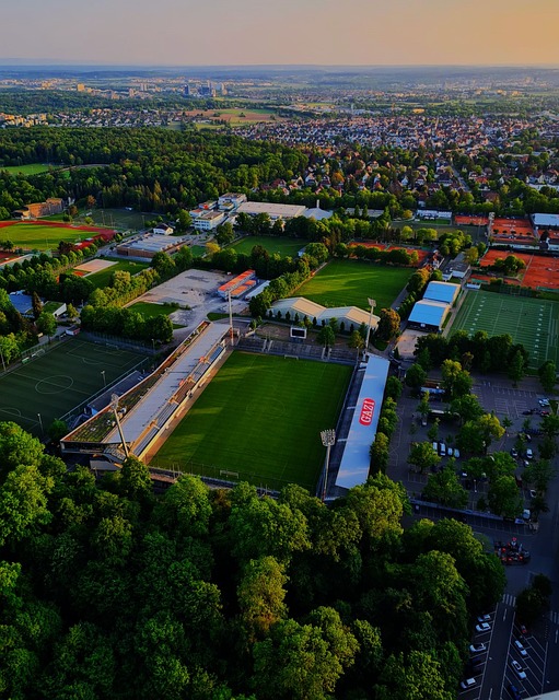 的绊脚石 的绊脚石