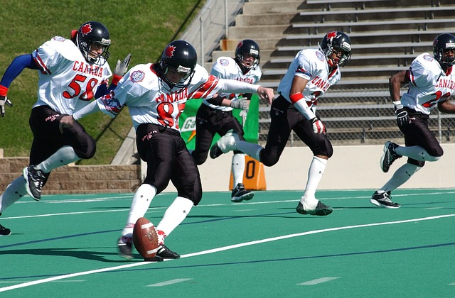 的重要范例 的重要范例