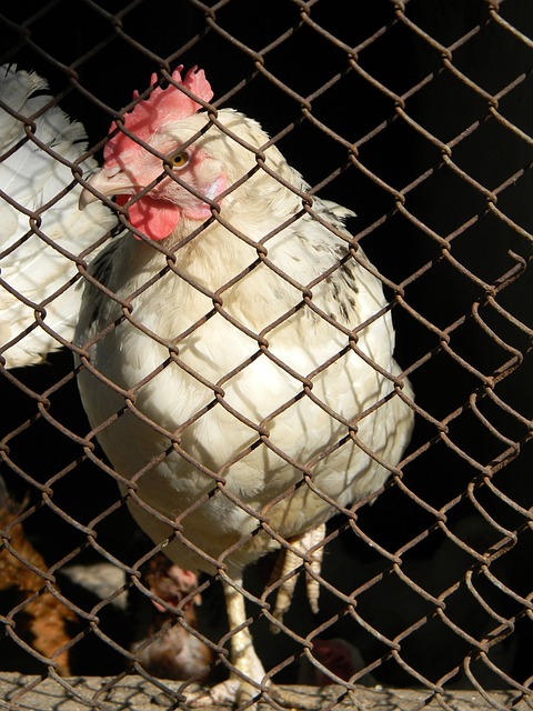 不少看点 不少看点