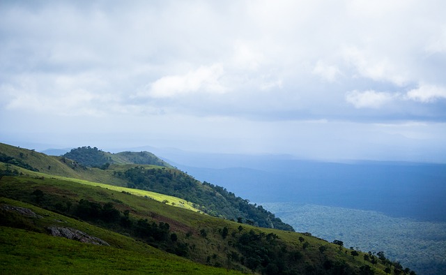 近年来的相 近年来的相