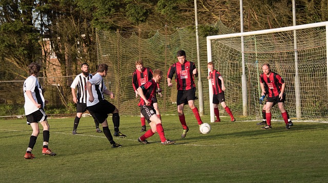 的再次起步 的再次起步