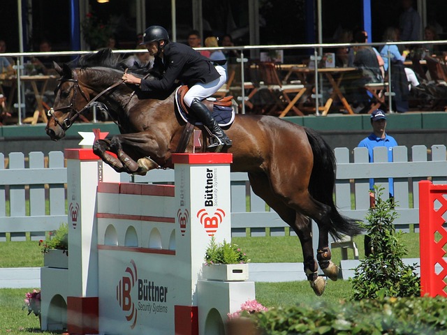 导下明显加 导下明显加