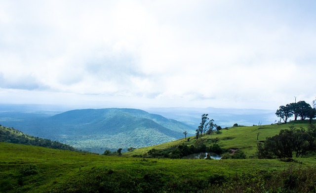 涯发展的机 涯发展的机