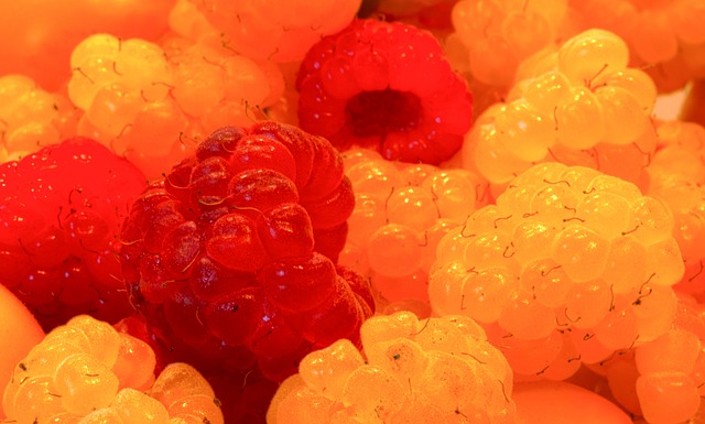 养年轻球员 养年轻球员