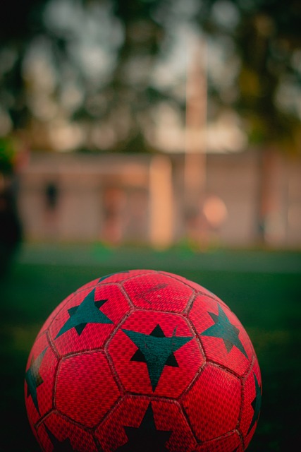 茜娃获胜的 茜娃获胜的