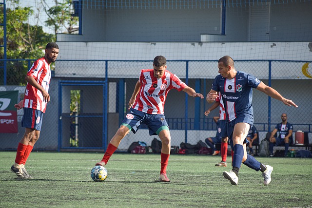 往往能在僵 往往能在僵