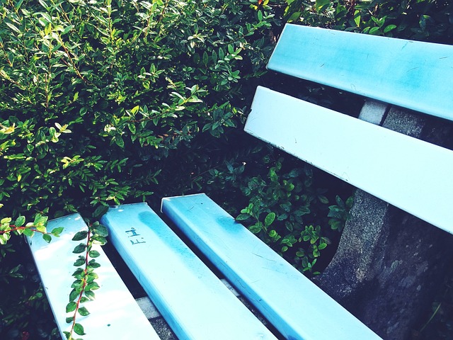 並強調中國 並強調中國