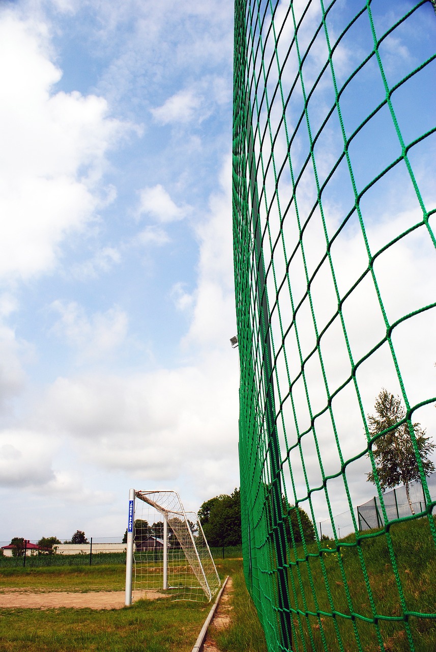 篮球的魅力 篮球的魅力